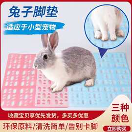 荷兰宠物猪的清洗日用品 打造干净舒适的居家生活